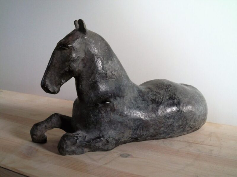 marinavanderKooi-paard